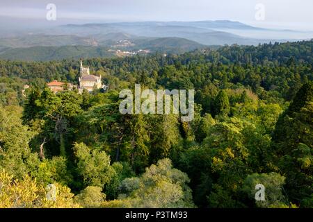 Bussaco Palace und Gärten, jetzt Bussaco Palace Hotel, in der Nähe von esposende, Portugal Stockfoto