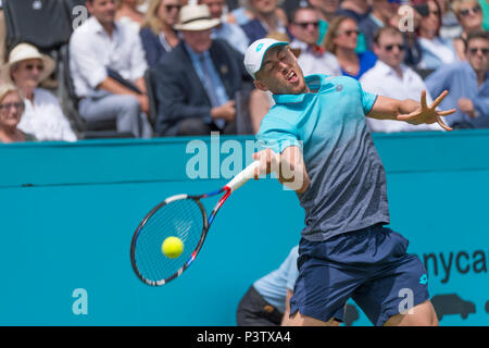 Die Queen's Club, London, Großbritannien. 19 Juni, 2018. Tag 2 übereinstimmen, der auf dem Center Court mit John millman (AUS) vs Novak Djokovic (SRB). Credit: Malcolm Park/Alamy Leben Nachrichten. Stockfoto