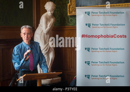 House of Lords, London, UK. 19 Jun, 2018. Peter Tatchell anlässlich der Vorstellung der neuen Bericht die Peter Tatchell der Stiftung über die wirtschaftlichen Kosten der Homophobie im Haus der Lords Credit: Zefrog/Alamy leben Nachrichten Stockfoto