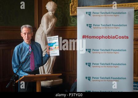 House of Lords, London, UK. 19 Jun, 2018. Peter Tatchell anlässlich der Vorstellung der neuen Bericht die Peter Tatchell der Stiftung über die wirtschaftlichen Kosten der Homophobie im Haus der Lords Credit: Zefrog/Alamy leben Nachrichten Stockfoto