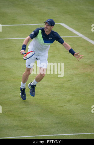 Die Queen's Club, London, Großbritannien. 19 Juni, 2018. Tag 2 übereinstimmen, der auf dem Center Court mit Nick Kyrgios (AUS) vs Andy Murray (GBR). Credit: Malcolm Park/Alamy Leben Nachrichten. Stockfoto