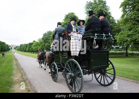 Windsor, Großbritannien. 19 Juni, 2018. Pferdewagen tragen elegant gekleidete racegoers zurück entlang der Langen im Windsor Great Park in Richtung Windsor Schloss Laufen am Ende des ersten Tages der Royal Ascot. Credit: Mark Kerrison/Alamy leben Nachrichten Stockfoto