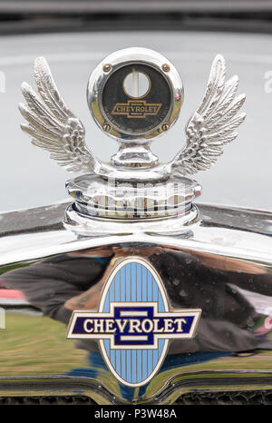 Knutsford, Großbritannien. 19 Jun, 2018. 19. Juni 2018 - Die Cheshire Showground bei Clay House Farm Flittogate Lane, Knutsford bewirtete die 2018 Royal Cheshire County. Die Show ist über die Sehenswürdigkeiten, Zeichen & Aromen von Cheshire & beyond Credit: John Hopkins/Alamy leben Nachrichten Stockfoto