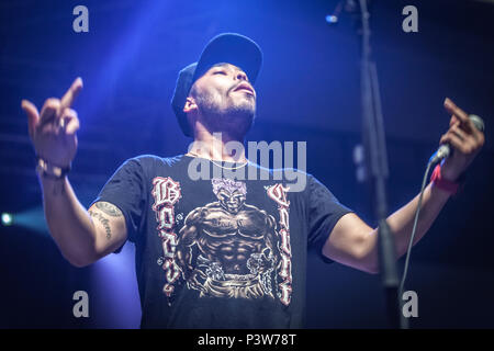 Zagreb, Kroatien. 19 Jun, 2018. Body Count, die Amerikanische heavy metal band, führt ein Live Konzert in Zagreb. Hier Sänger und Rapper Ice-T abgebildet ist live auf der Bühne. Credit: Deyan Baric/Alamy leben Nachrichten Stockfoto