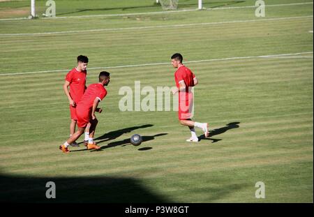 Gaza, Gazastreifen, palästinensischen Gebiet. 19 Juni, 2018. Palästinensischen Spielern von Hilal al-Quds Football Club teilnehmen, das letzte Training vor dem ersten Bein Spiel der Palästina Cup Finale mit Shabab Khan Younis Fußball Club im Palästina Stadion in Gaza Stadt, die am 19. Juni 2018 Credit: Mahmoud Ajour/APA-Images/ZUMA Draht/Alamy leben Nachrichten Stockfoto