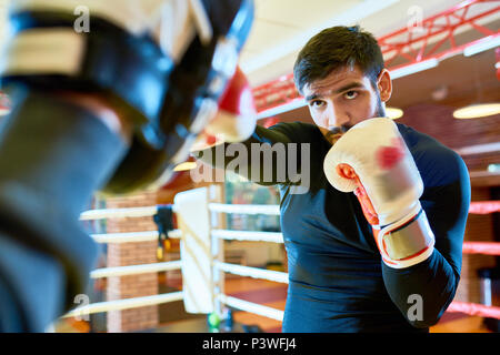 Zuversichtlich boxer Stanzen Pads auf dem Ring Stockfoto