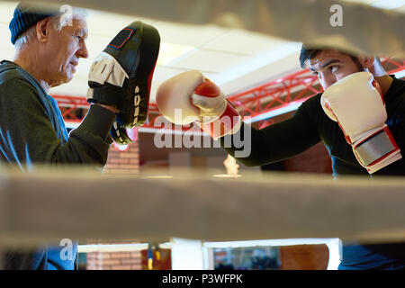 Älterer mann Ausbildung junger Boxer Stockfoto