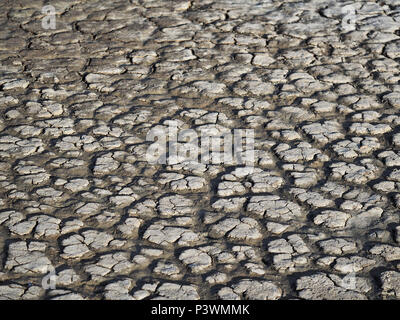 Rissige, trockene Schlamm Stockfoto