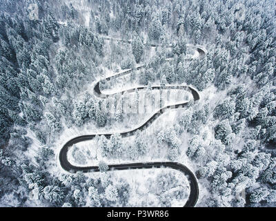 Kurvenreiche Straße durch den Wald im Winter Stockfoto