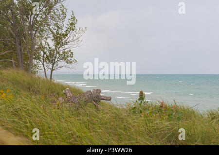 Lake Huron bei Pinery Provincial Park, Ontario, Kanada Stockfoto