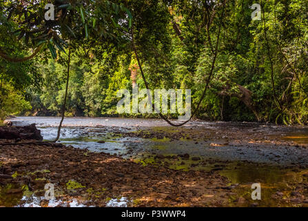 Eine schöne Landschaft des Tahan River auf einer schattigen Kiesstrand Flussbett, etwa 1200 Meter unter die Kaskade von lata Berkoh in Taman Negara. Stockfoto