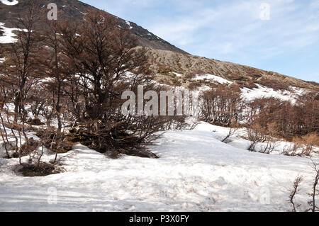 Na trilha Geleira Martial (Glaciar Martial), keine Meditation tun degelo. Eine geleira está localizada ao Norte da Cidade de Ushuaia, Região da Patagônia, na Argentinien. Stockfoto