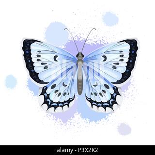 Realistische Schmetterling auf weißem Hintergrund. Kunst Vector Illustration. Stock Vektor