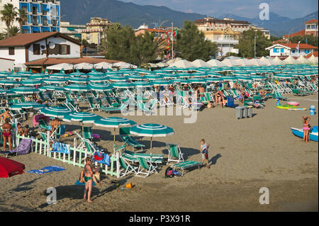 Ein überfüllter Strand von Marina di Massa, Versilia, Toskana, Italien Stockfoto