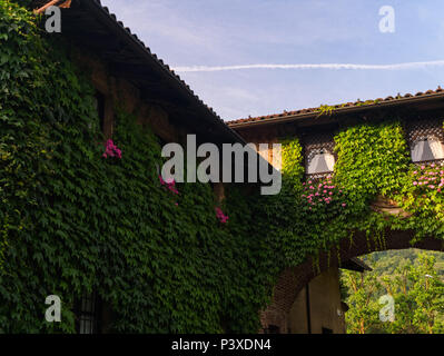 Haus mit Wand und Bogen in Ziegel bedeckt mit Efeu, Italien Stockfoto