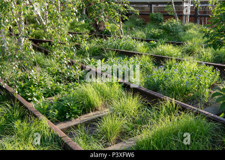 Überwucherten bahngleise an der High Line Park im Frühling in New York City Stockfoto