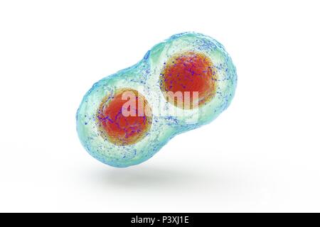 Biologische Zelle auf Read Hintergrund Mikroskop 3D-Illustration isoliert Stockfoto