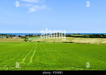 Weybourne Dorf aus dem Schwarzen Prinzen Dampfzug. Stockfoto