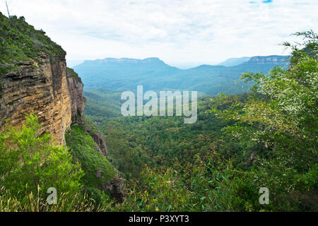 Jamison Valley in den Blue Mountains in Australien Stockfoto