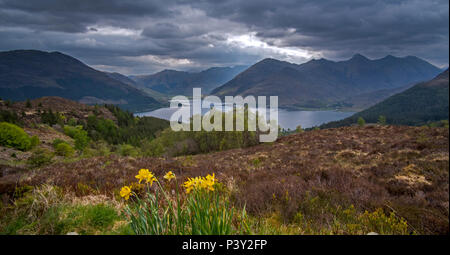 Blick über den Loch Duich und die Berggipfel der fünf Schwestern von kintail von bealach Ratagain/Ratagan Viewpoint, Highland, Schottland, UK Stockfoto