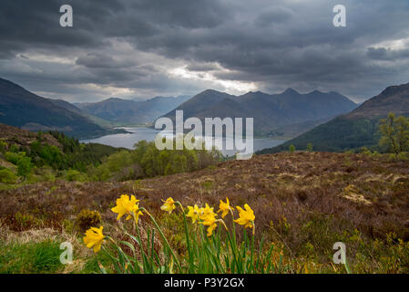 Blick über den Loch Duich und die Berggipfel der fünf Schwestern von kintail von bealach Ratagain/Ratagan Viewpoint, Highland, Schottland, UK Stockfoto