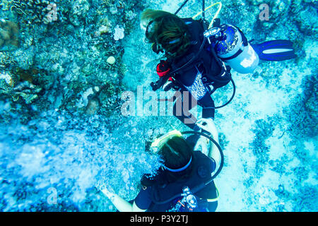 Tauchen am Riff unter Wasser im tropischen Ozean Stockfoto