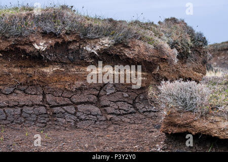 Torf hag mit freiliegenden Schichten rasen, verfallenen Vegetation, durch Erosion in Heideland, Schottland, Großbritannien Stockfoto