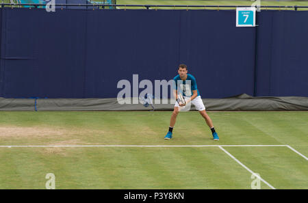 Die Queen's Club, London, Großbritannien. 19 Juni, 2018. Grigor Dimitrov (BUL) in einer morgendlichen Training Session. Credit: Malcolm Park/Alamy Stockfoto