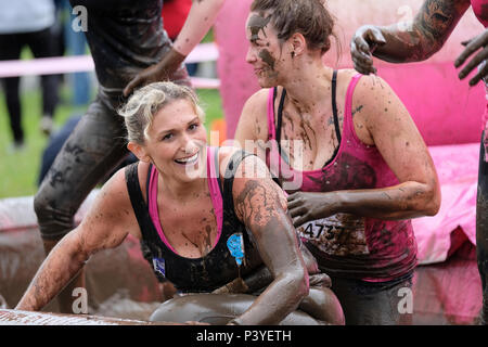 Liebe Kolleginnen die Teilnahme an einem 'Muddy 5 k'Fun Run zugunsten der Krebsforschung Großbritannien Stockfoto