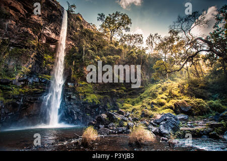 Lone Creek Wasserfall in Mpumalanga, Südafrika, mit Sonnenlicht, das durch Laub über Bemoosten Banken Stockfoto