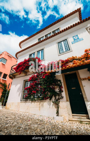 Weitwinkelaufnahme der traditionellen weißen Häusern in der Altstadt von Cascais mit boudaville Pflanzen vor blauem Himmel Stockfoto