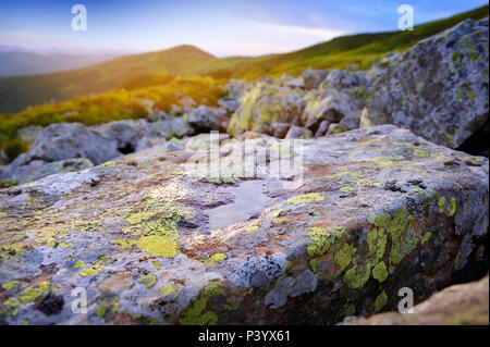 Stein mit farbigen Flechten und Wasser in den Morgen Strahlen in den Bergen Stockfoto