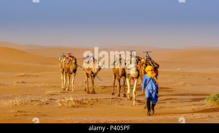 Ein Mann auf einem Kamel Zug über die marokkanische Sahara Wüste in der Nähe von Chegagga Stockfoto