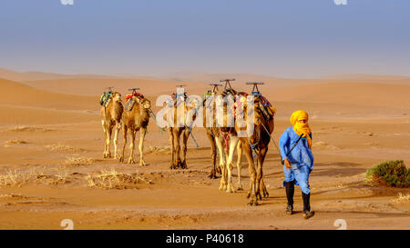 Ein Mann auf einem Kamel Zug über die marokkanische Sahara Wüste in der Nähe von Chegagga Stockfoto