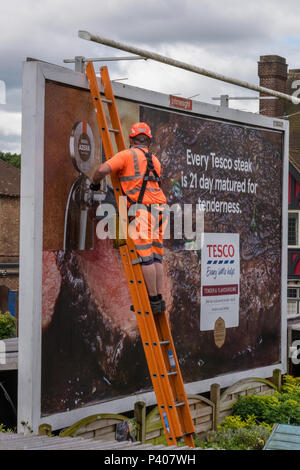 Ein Arbeiter in der orange persönliche Schutzausrüstung Bekleidung gekleidet und tragen einen Sicherheitsgurt klettern eine Leiter das Poster auf einer Anschlagtafel zu ändern. Stockfoto
