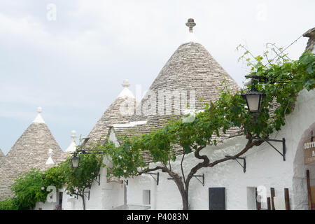 Einzigartige kleine Süd Italia Stadt Alberobello mit antient Steine konische Häuser Trullo, Reiseziel, Region Apulien in der Nähe von Bari Stockfoto