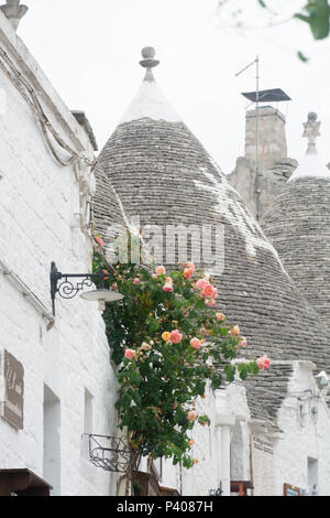 Einzigartige kleine Süd Italia Stadt Alberobello mit antient Steine konische Häuser Trullo, Reiseziel, Region Apulien in der Nähe von Bari Stockfoto