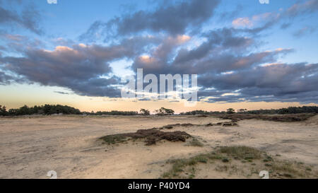 Sonnenuntergang über Sanddünen im Nationalpark Hoge Veluwe in der Provinz Gelderland, Niederlande Stockfoto