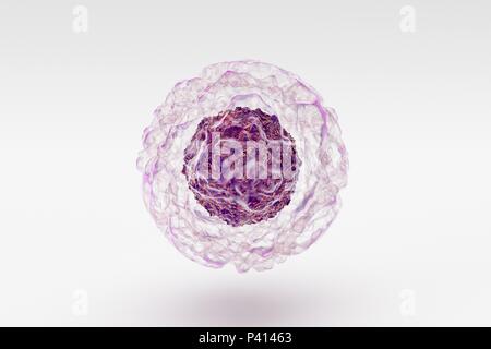 Biologische Zelle auf Read Hintergrund Mikroskop 3D-Illustration isoliert Stockfoto