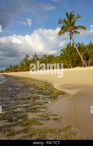 Der Strand von Le Morne Brabant, Mauritius Stockfoto