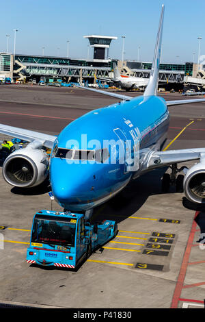 KLM jet Flugzeug auf dem Vorfeld des Flughafens Schiphol, Niederlande. Stockfoto