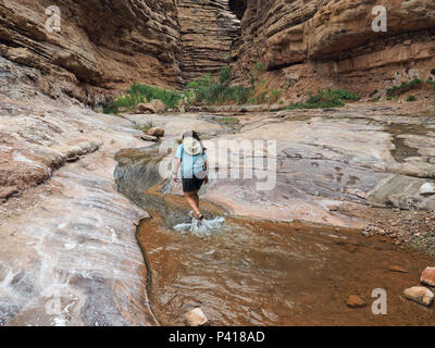 Junge Frau genießen einige backpacking Ausfallzeiten in Einsiedler Creek im Grand Canyon National Park, Arizona. Stockfoto