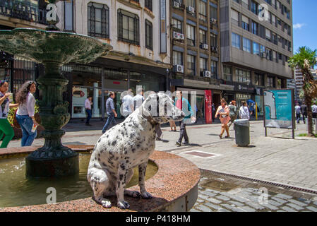 Montevidéu - uruguai Cachorro cachorro Dalmata animal doméstico Avenida Sarandi Cidade Velha Ciudad Vieja de Montevidéo Avenida 18 de Julio Porta de La Ciudadela Plaza Montevidéu Uruguai Independência Montevideo Uruguay América do Sul Puerta de la Ciudadela Stockfoto