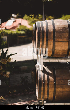 Holzfässer mit Rot und Weiß Sonnengelb Wein für die Verkostung auf dem Weinberg. Stockfoto