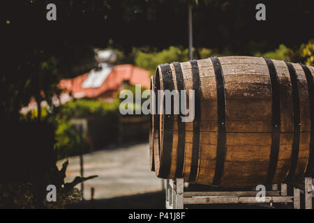 Holzfässer mit Rot und Weiß Sonnengelb Wein für die Verkostung auf dem Weinberg. Kopieren Sie Platz für Text und Design. Stockfoto