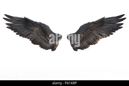 3D-Illustration Dämon Flügel, schwarze Flügel Gefieder isoliert auf weißem Hintergrund Stockfoto