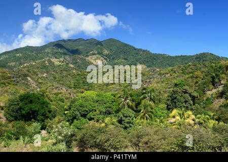 Trail für die höchsten Gipfel von Kuba - Pico Turquino in den Bergen der Sierra Maestra Stockfoto