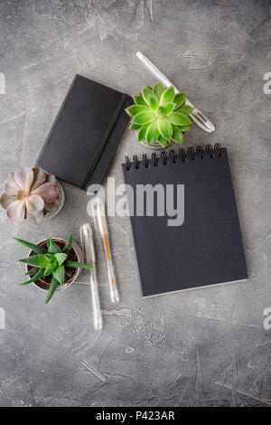Schwarz, Notizblöcke, Stifte und Topfpflanzen saftige auf einem grauen Schreibtisch in einer Ansicht von oben mit Kopie Raum Stockfoto