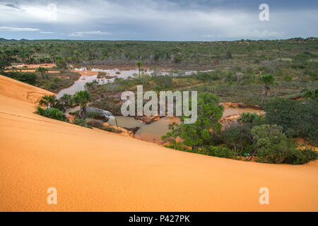 Dunas keine Jalapão, Parque Estadual do Jalapão, Jalapão, Tocantins, Norte do Brasil. Stockfoto