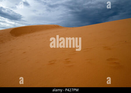 Parque Estadual do Jalapão, Dunas keine Jalapão, Tocantins, Norte do Brasil. Stockfoto